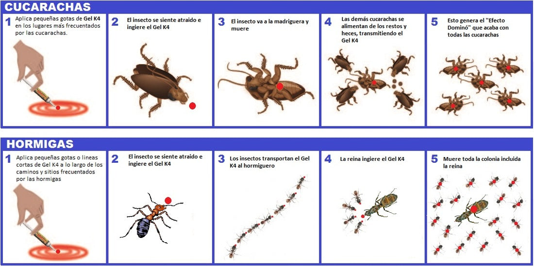 K4 Gel insecticida Mata cucarachas 6gr